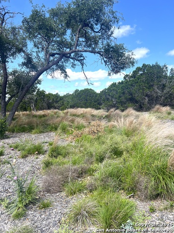 Image 31 of 33 For 0000 Citadel