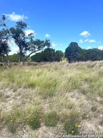 Image 33 of 33 For 0000 Citadel