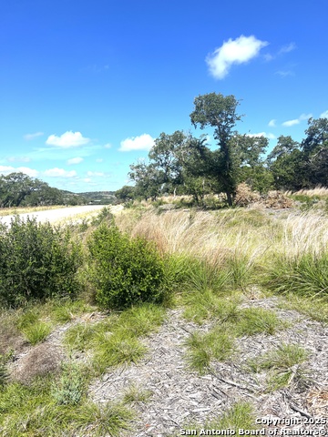 Image 4 of 33 For 0000 Citadel