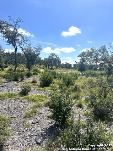 Image 5 of 33 For 0000 Citadel