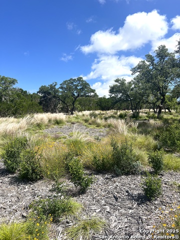 Image 6 of 33 For 0000 Citadel