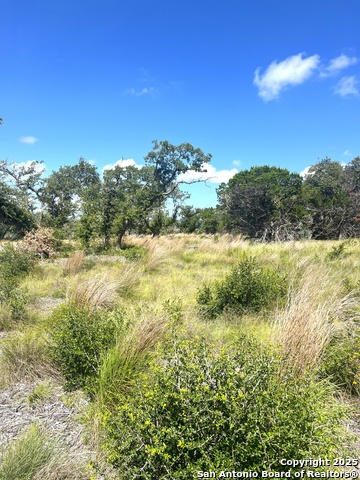 Image 7 of 33 For 0000 Citadel