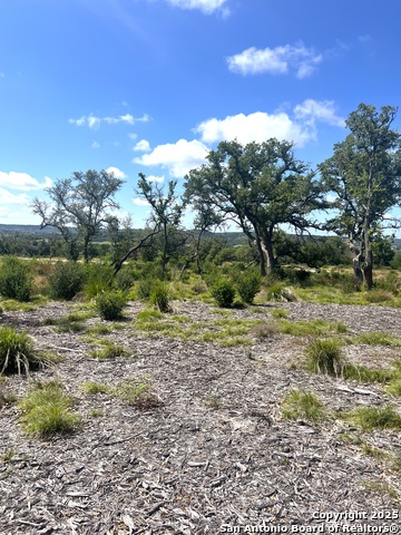 Image 8 of 33 For 0000 Citadel