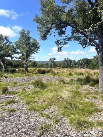 Image 9 of 33 For 0000 Citadel