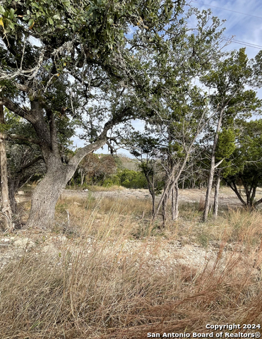 Listing photo id 19 for 807 Stagecoach