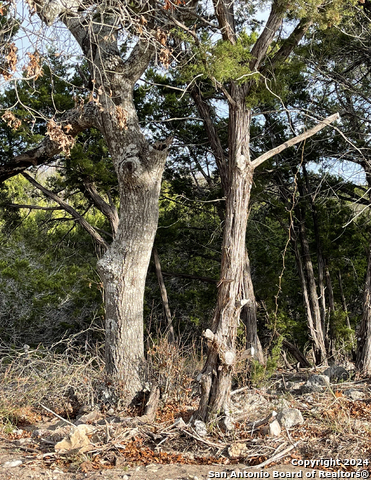 Listing photo id 21 for 807 Stagecoach