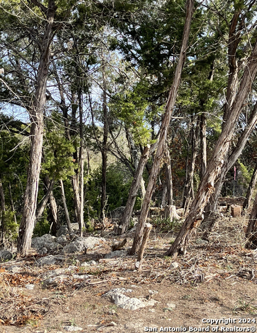 Listing photo id 22 for 807 Stagecoach