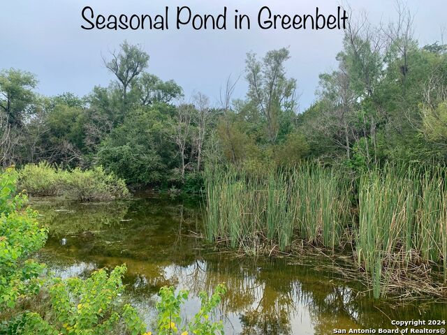 Listing photo id 2 for 807 Stagecoach