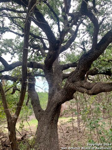 Listing photo id 6 for 807 Stagecoach