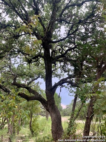 Listing photo id 7 for 807 Stagecoach