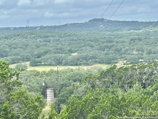 Image 40 of 49 For 935 Spring Branch Rd.