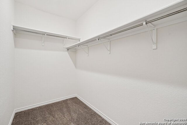 Image 27 of 48 For 5222 Wolf Bane