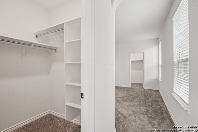 Image 28 of 48 For 5222 Wolf Bane