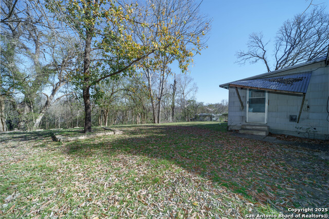 Image 18 of 34 For 2021 Chinaberry