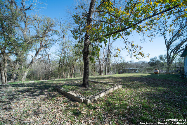 Image 21 of 34 For 2021 Chinaberry