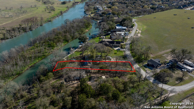 Image 26 of 34 For 2021 Chinaberry