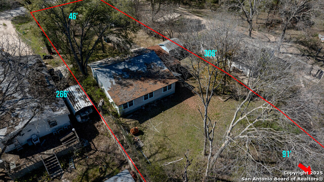 Image 31 of 34 For 2021 Chinaberry