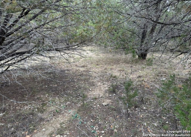 Listing photo id 8 for Lot #70 Forest Oaks