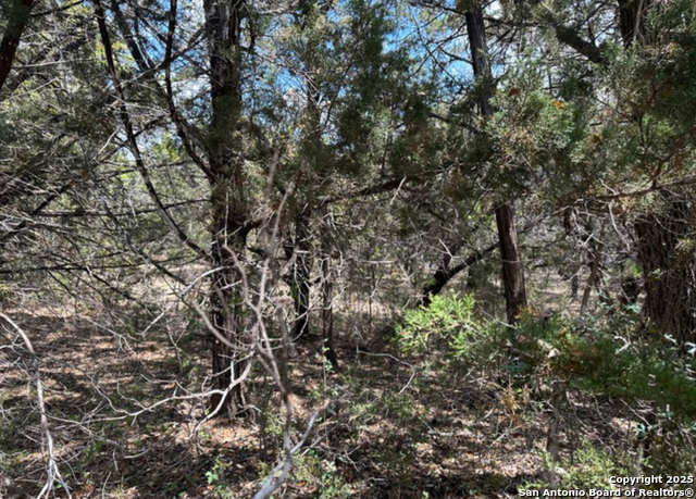 Listing photo id 5 for Lot #70 Forest Oaks