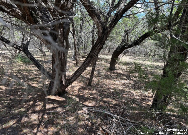 Listing photo id 6 for Lot #70 Forest Oaks