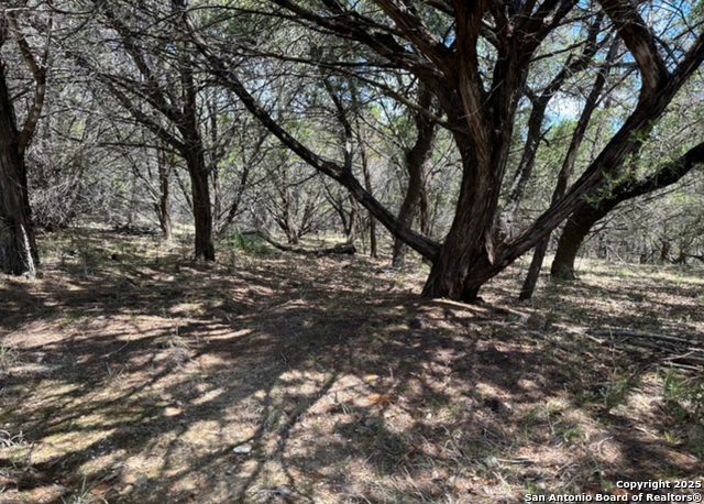 Listing photo id 7 for Lot #70 Forest Oaks