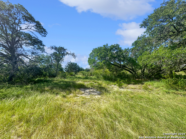 Image 15 of 29 For Tbd Lot 32 Joshua Ranch Drive
