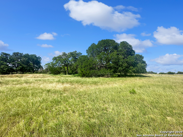 Image 8 of 29 For Tbd Lot 32 Joshua Ranch Drive