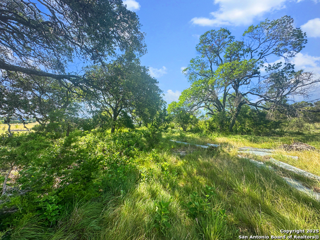 Image 9 of 29 For Tbd Lot 32 Joshua Ranch Drive