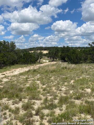 Image 16 of 19 For 73 Billings Forest