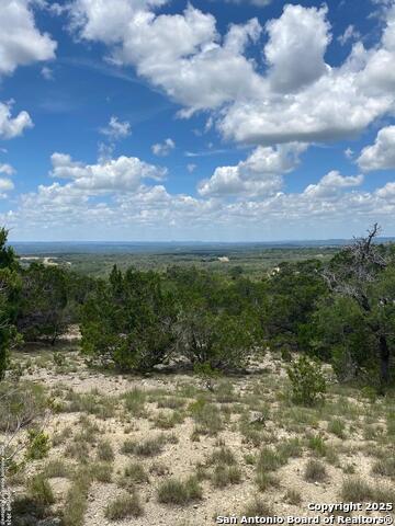 Image 2 of 19 For 73 Billings Forest