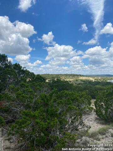Image 7 of 19 For 73 Billings Forest