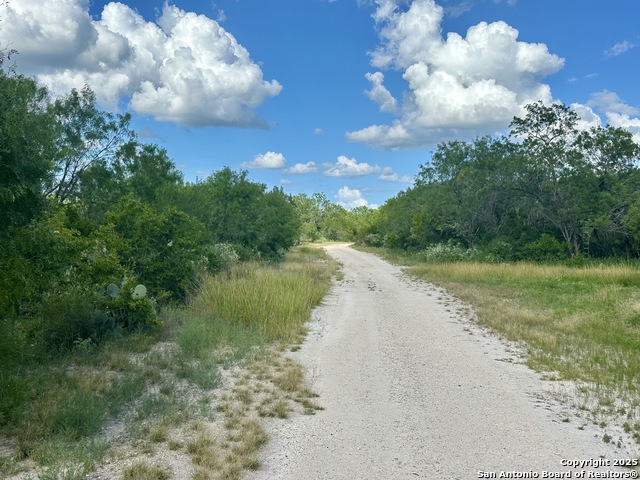 Details for E Fm 791  , Campbellton, TX 78008