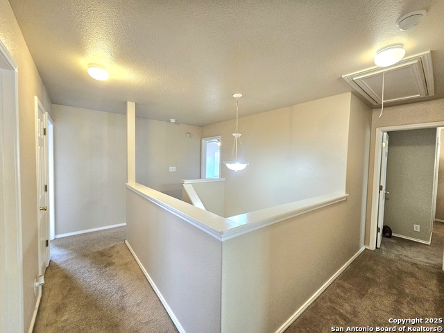 Image 11 of 17 For 317 Ibis Falls Dr.