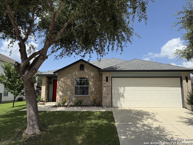 Details for 16238 Galloping Oak, Selma, TX 78154
