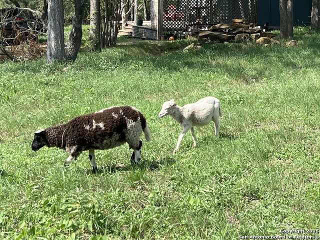 Image 43 of 44 For 124 Valley Creek