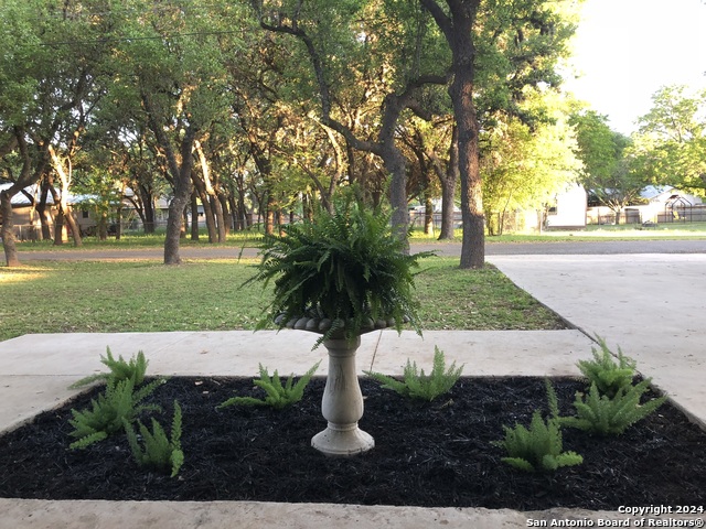 Image 2 of 7 For 106 Cibolo Oak