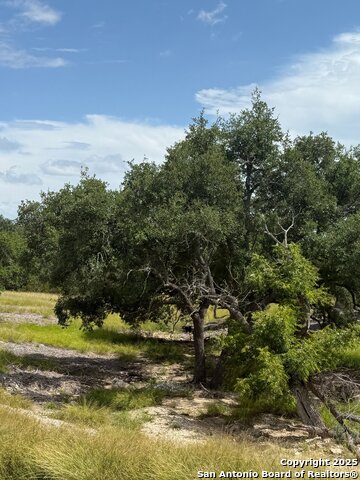 Image 14 of 17 For Tbd Mcvea Woods Rd