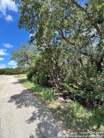 Details for 1431 Cedar Grove, Spring Branch, TX 78070