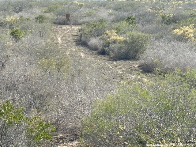 Details for Tr102 Frontier A Rd, Freer, TX 78357