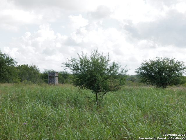 Image 2 of 7 For Tbd County Rd 207