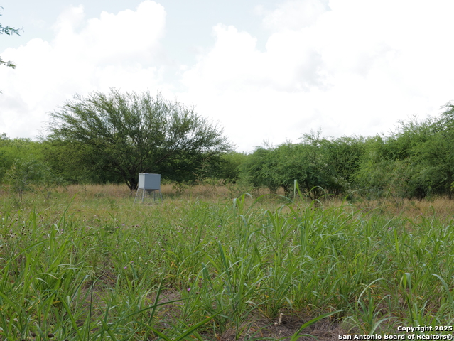 Image 4 of 7 For Tbd County Rd 207