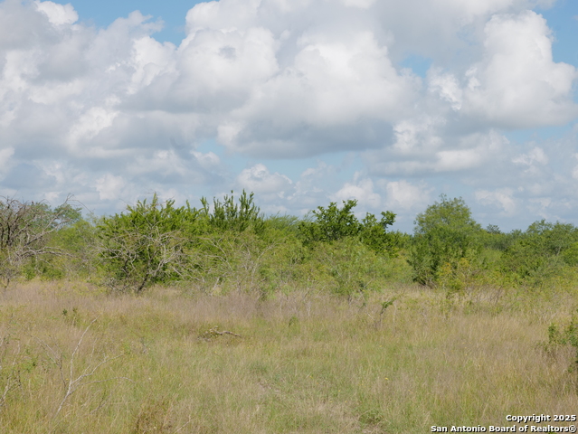Image 7 of 7 For Tbd County Rd 207