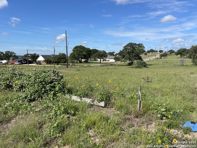 Details for 401 Shady Lane, La Vernia, TX 78121