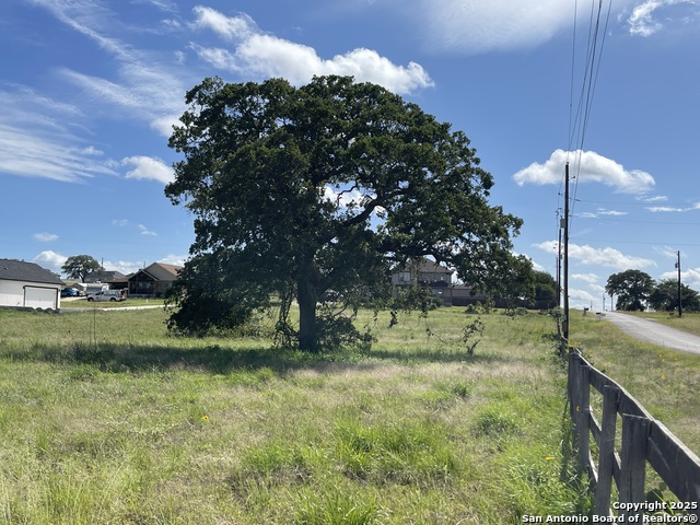 Image 6 of 12 For 401 Shady Lane