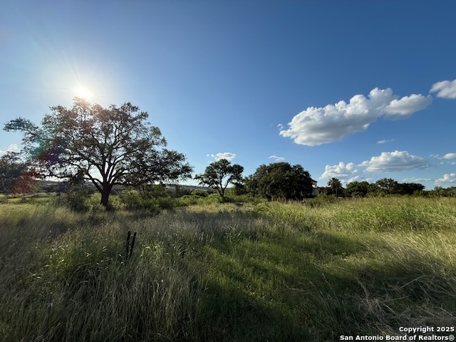 Image 3 of 5 For 2931 Rustlers