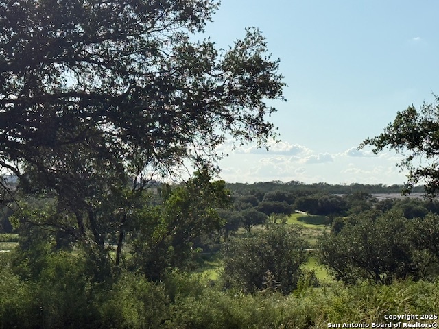 Image 4 of 5 For 2931 Rustlers