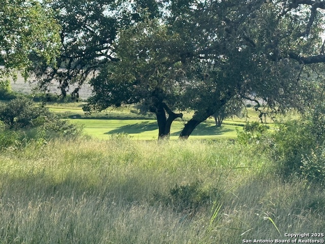 Image 5 of 5 For 2931 Rustlers