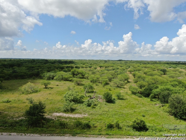 Details for Tract 2 County Rd 207, Hobson, TX 78117