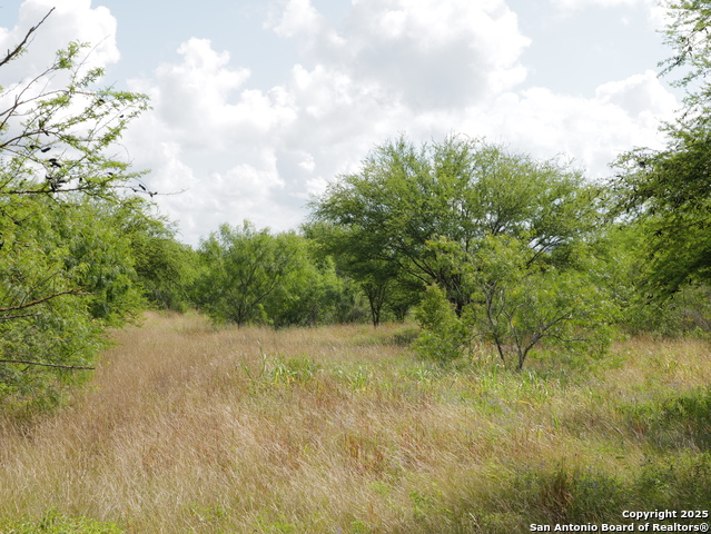 Image 5 of 5 For Tract 3 County Rd 207