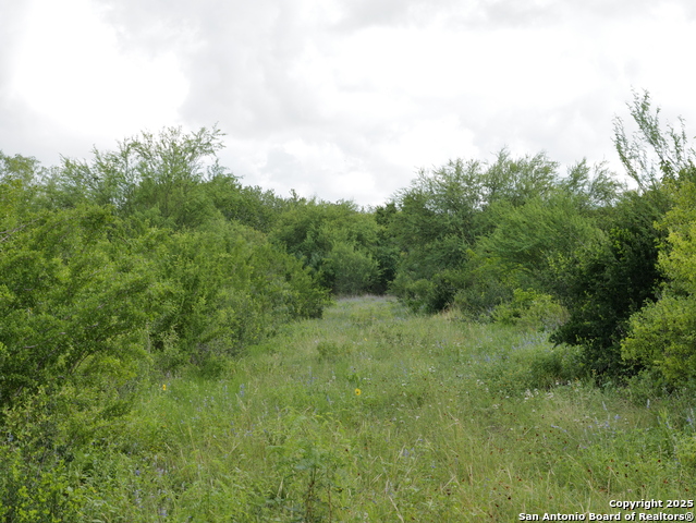 Image 5 of 7 For Tract 4 County Rd 208